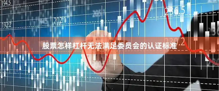 股票怎样杠杆无法满足委员会的认证标准