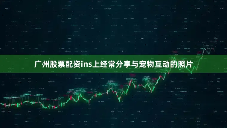 广州股票配资ins上经常分享与宠物互动的照片